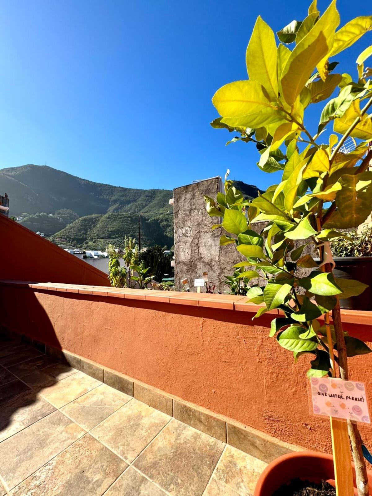 Precioso Apartamento Con Terraza En Piso Superior ลอส เรอาเลคอส ภายนอก รูปภาพ